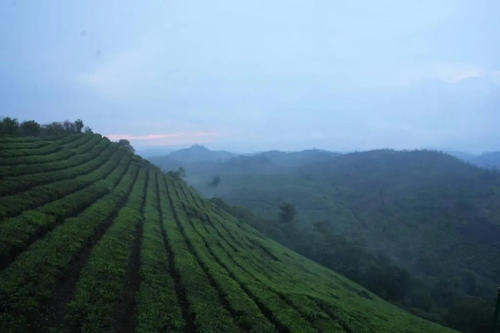 Vagamist Pool Resorts Vagamon Indie